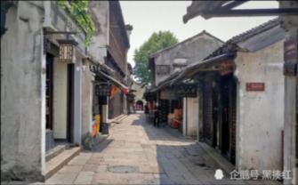 逃离金刚鹦鹉森林